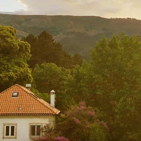 Casa Das Essencias, Quinta De Santo Antonio Covilhã Eksteriør billede